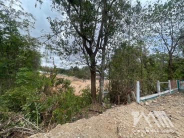 ที่ดิน - ฉลอง
