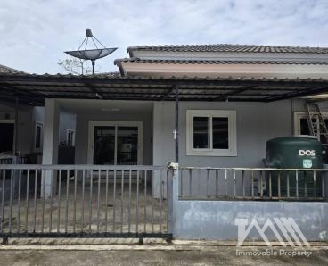 เดอะริช นากก / ฉลอง / The Rich Nagog