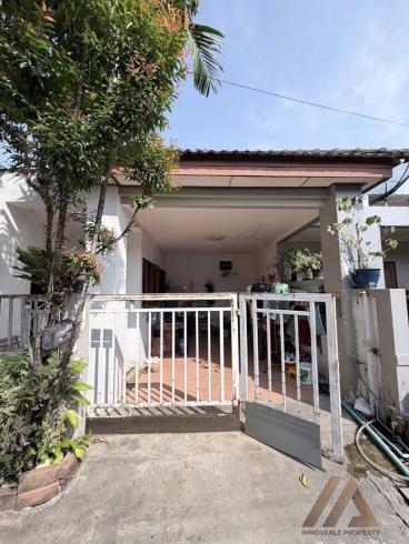 ศรีสุชาติ 3 สามกอง / Srisuchart 3